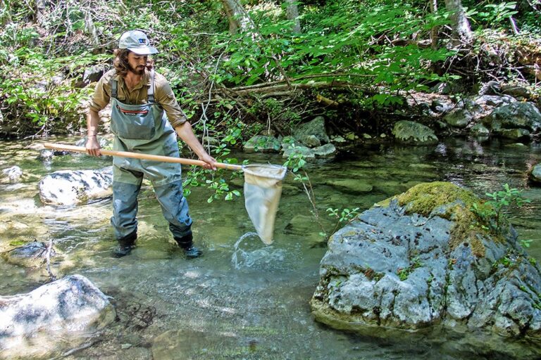 How Many Field in Science Stream
