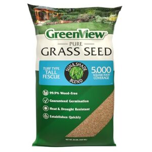 Best Turf Type Tall Fescue